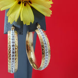 Earrings - Stainless Steel Gold Plated. Hoops Earrings w crystals. *Premium Q*