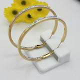 Earrings - Stainless Steel Gold Plated. Hoops Earrings w AB crystals. *Premium Q*